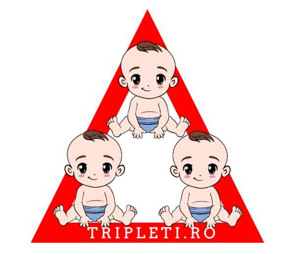 Sticker auto tripleti.ro